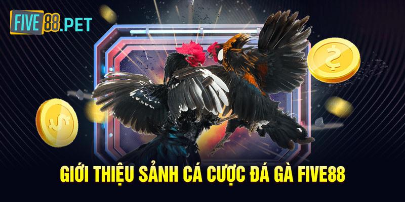 Giới thiệu về đá gà Five88